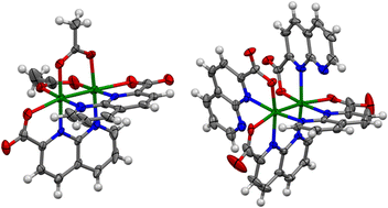 Graphical abstract: Paddlewheel-type and half-paddlewheel-type diruthenium(ii,ii) complexes with 1,8-naphthyridine-2-carboxylate