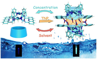 Graphical abstract: A stimuli-responsive dimeric capsule built from an acridine-based metallacycle for ratiometric fluorescence sensing of TNP