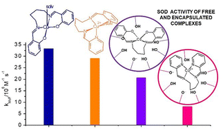 Graphical abstract: The relative impact of ligand flexibility and redox potential on the activity of Cu superoxide dismutase mimics