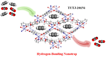 Graphical abstract: A Lewis basic site rich metal–organic framework featuring a hydrogen-bonded acetylene nano-trap for the efficient separation of C2H2/CO2