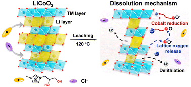 Graphical abstract: Green and sustainable recycling of lithium-ion batteries via an ionic liquid-driven cathode reduction method