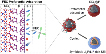 Graphical abstract: Material–electrolyte interfacial interaction enabling the formation of an inorganic-rich solid electrolyte interphase for fast-charging Si-based lithium-ion batteries
