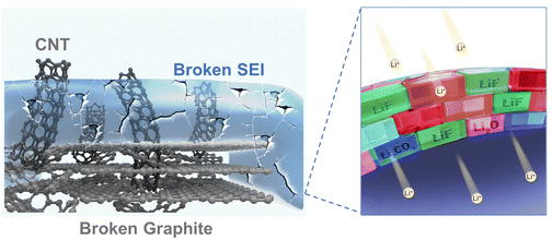 Graphical abstract: The acupuncture effect of carbon nanotubes induced by the volume expansion of silicon-based anodes