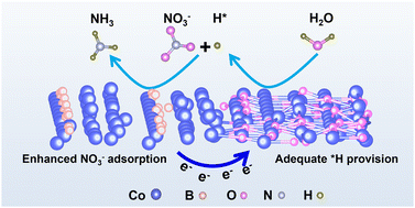 Graphical abstract: Mott–Schottky contact synergistically boosts the electroreduction of nitrate to ammonia under low-nitrate concentration