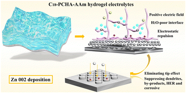 Graphical abstract: Polycation-regulated hydrogel electrolytes with nanoscale hydrophobic confinement inducing Zn(002) deposition for highly reversible zinc anodes