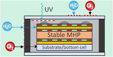 Graphical abstract: Stability and reliability of perovskite containing solar cells and modules: degradation mechanisms and mitigation strategies
