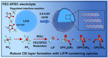 Graphical abstract: Stabilizing LiCoO2 at 4.6 V by regulating anti-oxidative solvents