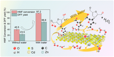 Graphical abstract: Harnessing trace water for enhanced photocatalytic oxidation of biomass-derived alcohols to aldehydes