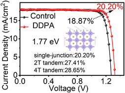 Graphical abstract: Efficient 1.77 eV-bandgap perovskite and all-perovskite tandem solar cells enabled by long-alkyl phosphonic acid