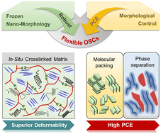 Graphical abstract: An in situ crosslinked matrix enables efficient and mechanically robust organic solar cells with frozen nano-morphology and superior deformability