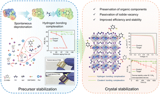 Graphical abstract: Hydrogen bond-mediated pseudo-halide complexation for stable and efficient perovskite precursors and solar cells
