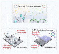 Graphical abstract: Reinforcing the symmetry of stripping/plating behavior via in situ interface construction for long-lasting zinc metal batteries