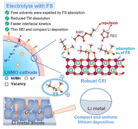 Graphical abstract: Rational molecular design of electrolyte additive endows stable cycling performance of cobalt-free 5 V-class lithium metal batteries