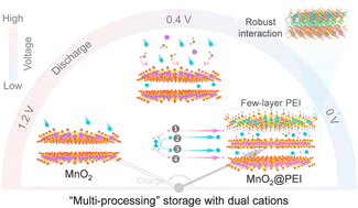 Graphical abstract: Deciphering the dynamic solid–liquid interphase for energetic high-mass-loading energy storage