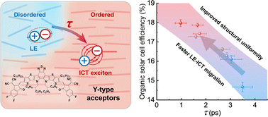 Graphical abstract: Engineering ultrafast exciton dynamics to boost organic photovoltaic performance