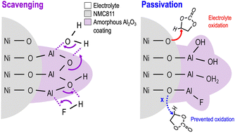 Graphical abstract: Identification of the dual roles of Al2O3 coatings on NMC811-cathodes via theory and experiment