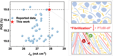 Graphical abstract: Achieving 19.6% efficiency in organic photovoltaics through guest-polymer assisted morphological fibrillization
