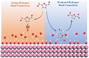 Graphical abstract: Weakened hydrogen bond connectivity promotes interfacial mass transfer for industrial level scalable biomass electrooxidation