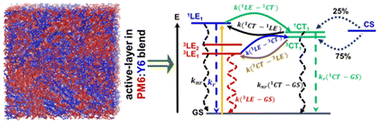 Graphical abstract: Analysis of the charge generation and recombination processes in the PM6:Y6 organic solar cell