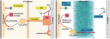 Graphical abstract: Inhibiting cathode dissolution and shuttling of V–O species using a polybenzimidazole hydrogel electrolyte for durable high-areal-capacity Zn–V2O5 batteries