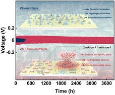 Graphical abstract: In situ construction of a hydrophobic channel interconnecting zincophilic planes on the Zn surface for enhanced stability of Zn metal anodes