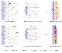 Graphical abstract: An electric double layer regulator empowers a robust solid–electrolyte interphase for potassium metal batteries
