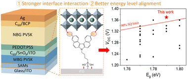 Graphical abstract: Surpassing 90% Shockley–Queisser VOC limit in 1.79 eV wide-bandgap perovskite solar cells using bromine-substituted self-assembled monolayers