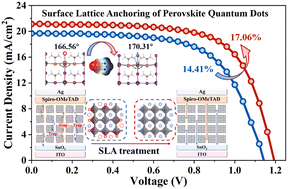 Graphical abstract: Suppressed surface lattice vacancies and distortion through lattice anchoring for efficient FAPbI3 perovskite quantum dot solar cells