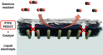 Graphical abstract: Conducting polymer transforms hydrophobic porous membranes into robust gas diffusion layers in electrochemical applications