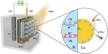 Graphical abstract: Photoelectrochemical nitrate denitrification towards acidic ammonia synthesis on copper-decorated black silicon