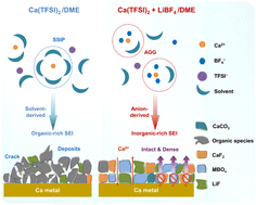 Graphical abstract: Revisiting the interfacial chemistry of calcium metal anodes: the importance of inorganic-rich solid/electrolyte interfaces derived from an aggregation-dominated electrolyte