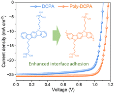 Graphical abstract: Enhanced interface adhesion with a polymeric hole transporter enabling high-performance air-processed perovskite solar cells