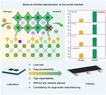 Graphical abstract: Moisture-inhibited deprotonation at the buried interface enables efficient perovskite solar cells with a high fill factor of over 86%