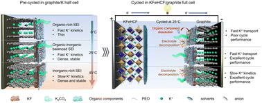 Graphical abstract: Uncovering the role of organic species in the SEI on graphite for fast K+ transport and long-life potassium-ion batteries