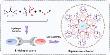 Graphical abstract: Designing a bridging solvation structure using recessive solvents for high energy density aqueous zinc-ion batteries with 88% depth of discharge zinc rechargeability
