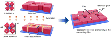 Graphical abstract: Photomechanically accelerated degradation of perovskite solar cells