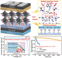 Graphical abstract: Unraveling the interfacial homogeneity and bulk crystallization for efficient and stable perovskite solar cells via ionic liquids