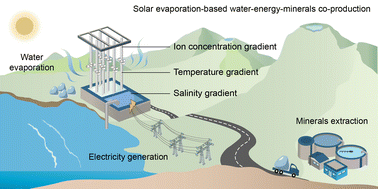 Graphical abstract: Gradient engineering in interfacial evaporation for water, energy, and mineral harvesting