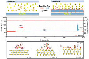 Graphical abstract: Accelerating interfacial desolvation kinetics using NaF-rich composite sodium for high-performance all-climate sodium–metal batteries