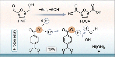 Graphical abstract: Bio-inspired proton relay for promoting continuous 5-hydroxymethylfurfural electrooxidation in a flowing system