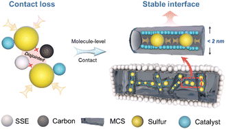 Graphical abstract: Integrating solid interfaces for catalysis in all-solid-state lithium–sulfur batteries