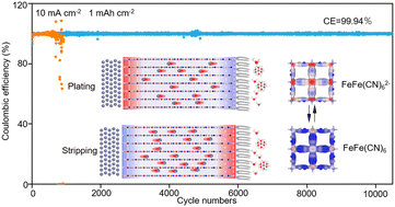 Graphical abstract: Suppression of interfacial water layer with solid contact using an ultrathin, water-repellent, and Zn2+-selective layer for Ah-level zinc metal batteries