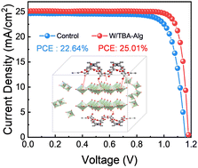Graphical abstract: Biomass-derived functional additive for highly efficient and stable lead halide perovskite solar cells with built-in lead immobilisation