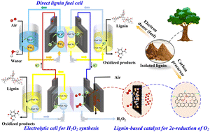 Graphical abstract: Self-powered electrochemical synthesis of hydrogen peroxide from air and lignin