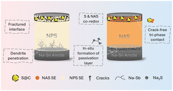 Graphical abstract: Self-sacrifice of sulfide electrolytes facilitating stable solid-state sodium–sulfur batteries