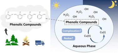Graphical abstract: Effects of copper on chemical kinetics and brown carbon formation in the aqueous ˙OH oxidation of phenolic compounds