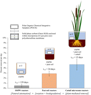 Graphical abstract: Depletion rates of O2-naphthenic acids from oil sands process-affected water in wetland microcosms