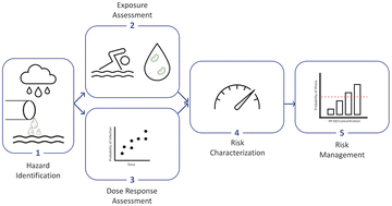 Graphical abstract: Simulated gastrointestinal risk from recreational exposure to Southern California stormwater and relationship to human-associated Bacteroidales marker HF183