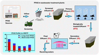 Graphical abstract: Distribution and variability of per- and polyfluoroalkyl substances (PFASs) across three categories of wastewater treatment plants in Kaohsiung, the industrial hub of Taiwan