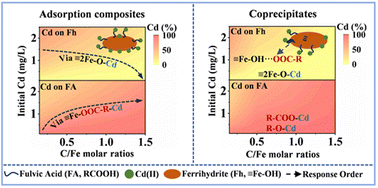 Graphical abstract: The effects of formation modes of ferrihydrite-low molecular weight organic matter composites on the adsorption of Cd(ii)